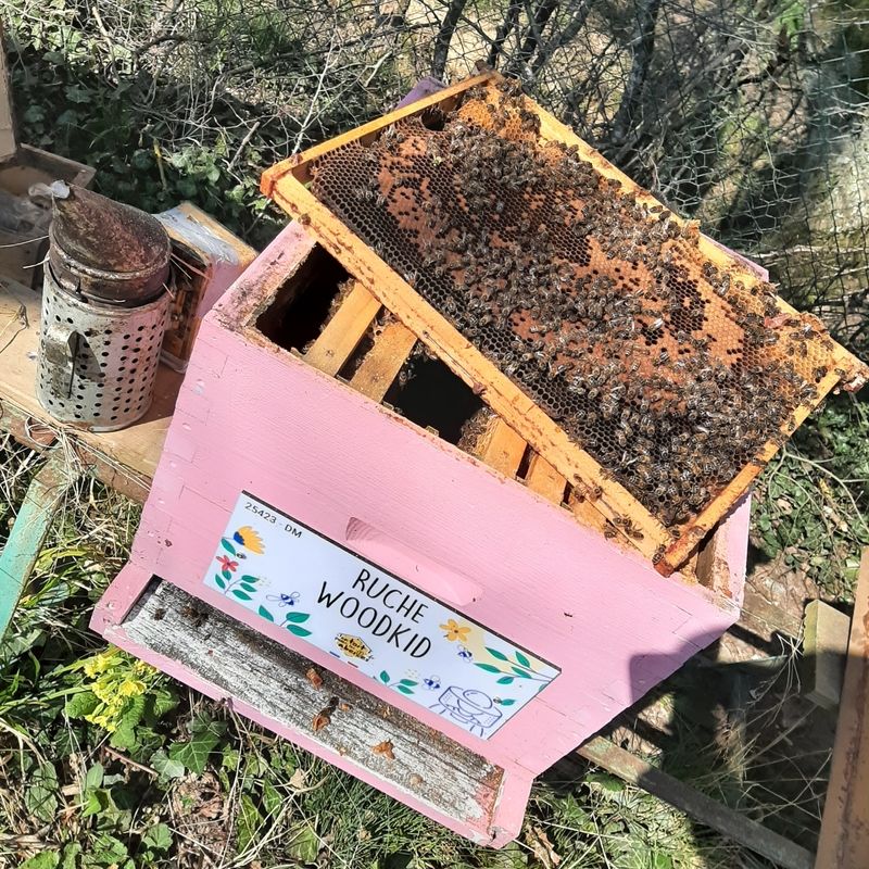 La ruche Woodkid