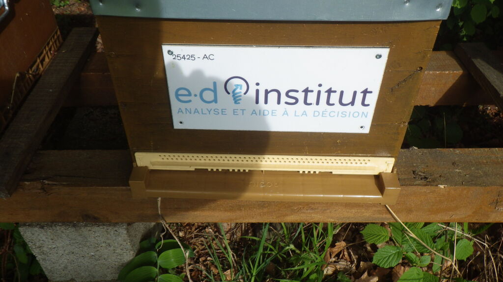La ruche EDinstitut