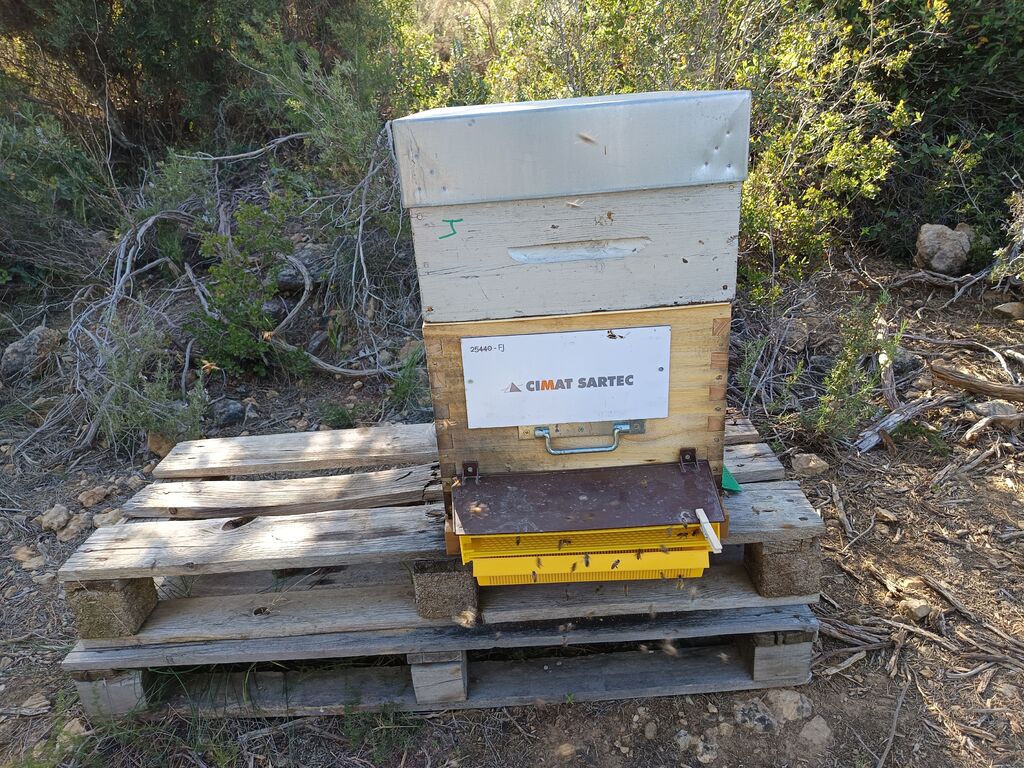 La ruche CIMAT SARTEC Méditerranée