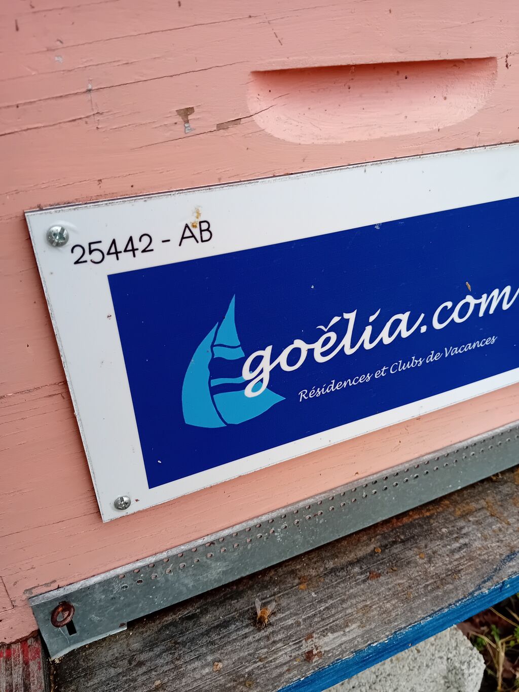 La ruche Goelia