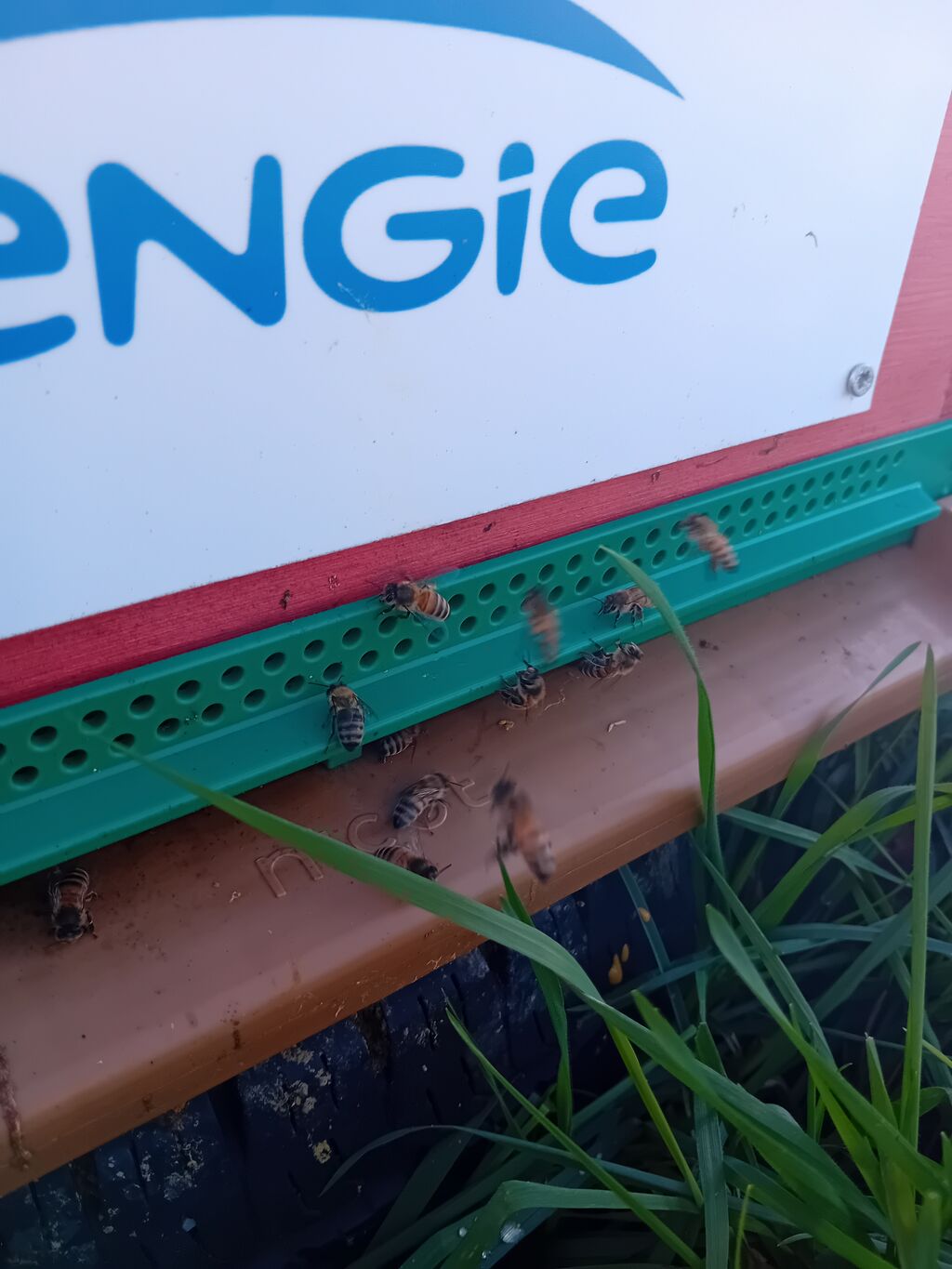 La ruche ENGIE - MPPA