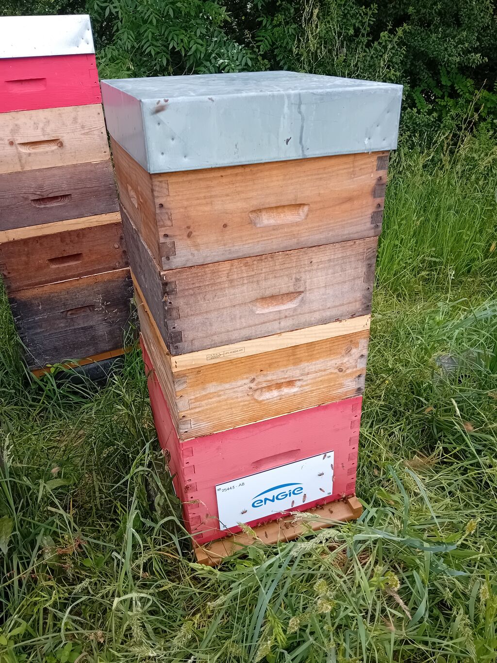 La ruche ENGIE - MPPA