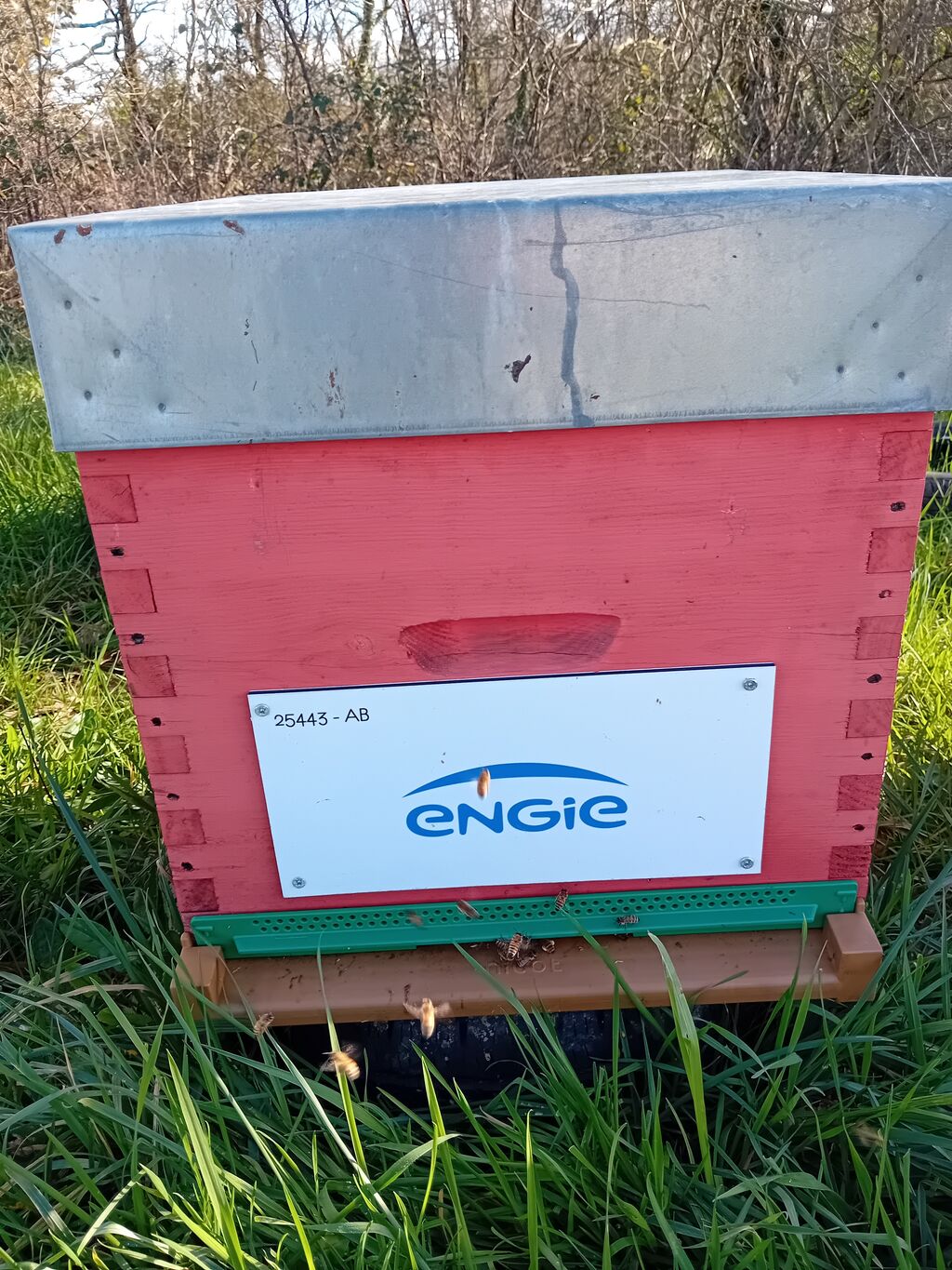 La ruche ENGIE - MPPA