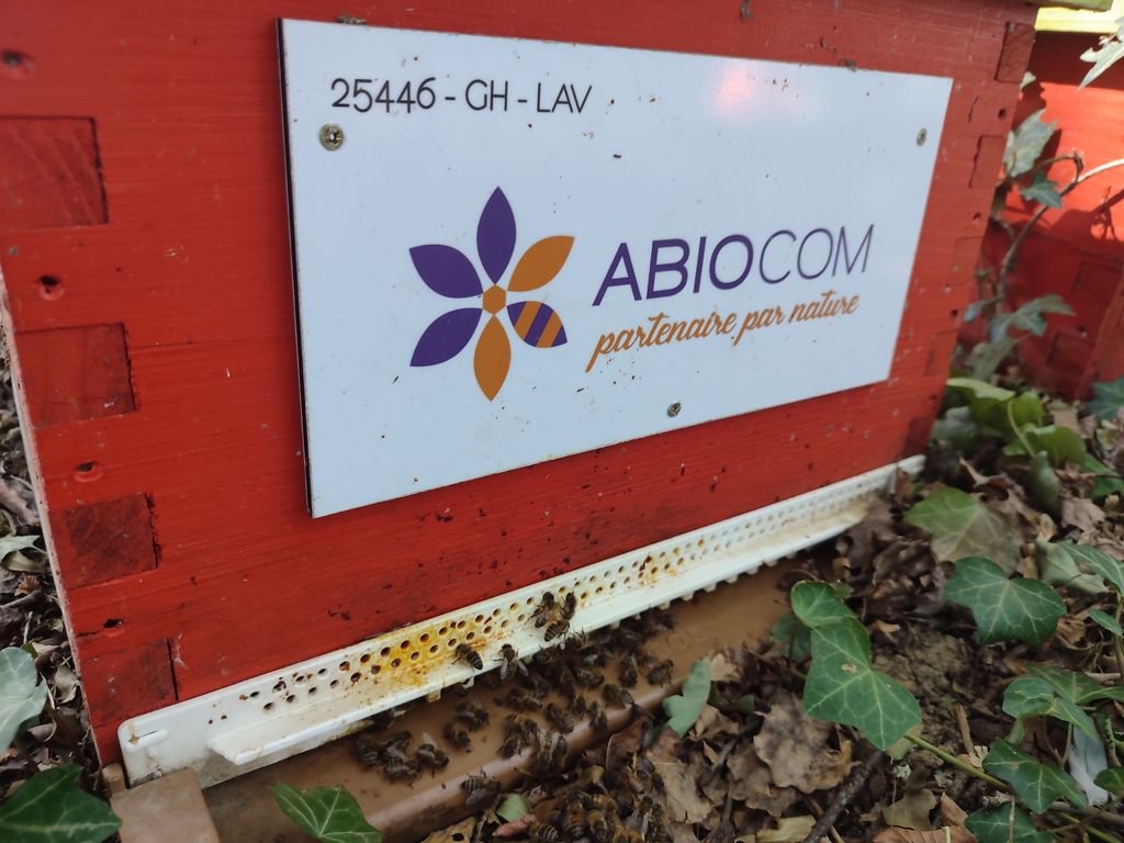 La ruche Abiocom