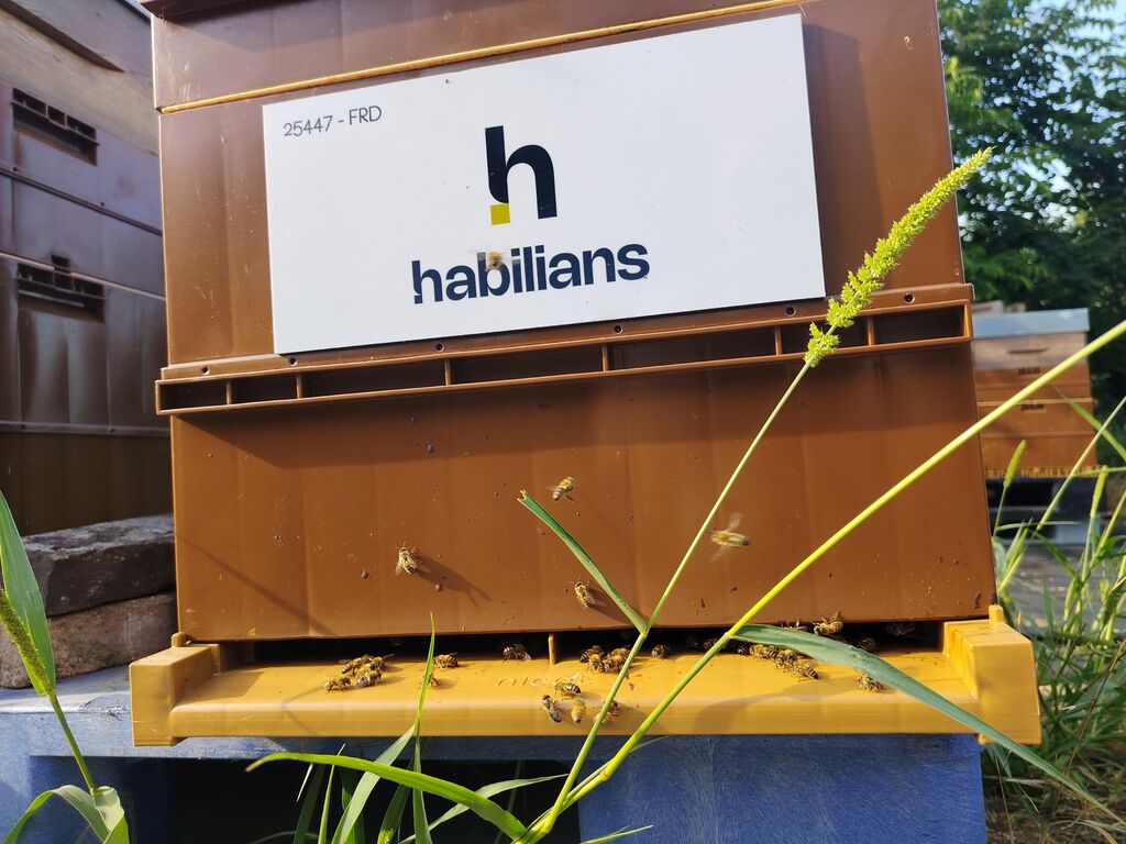 La ruche Habilians