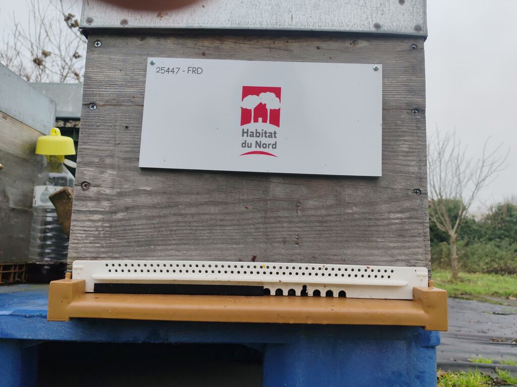 La ruche Habitat du nord