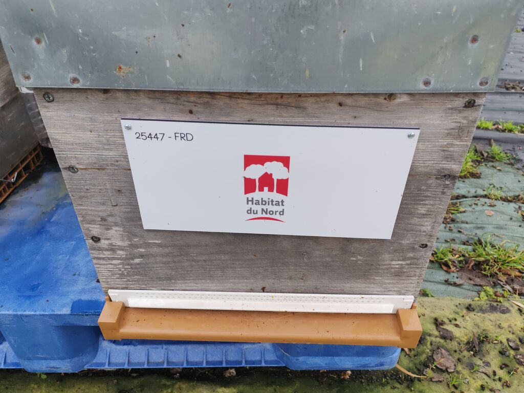 La ruche Habitat du nord