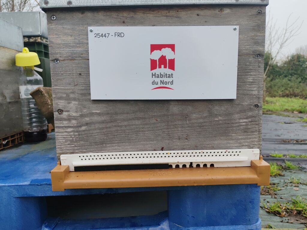 La ruche Habitat du nord