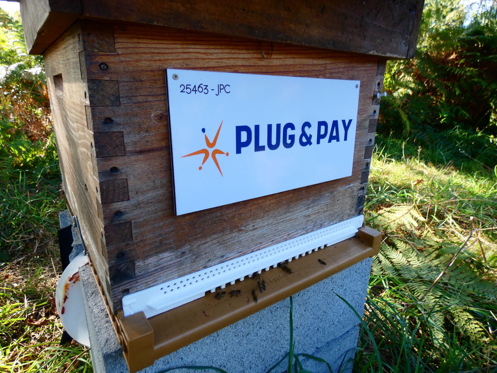 La ruche Plug&Pay