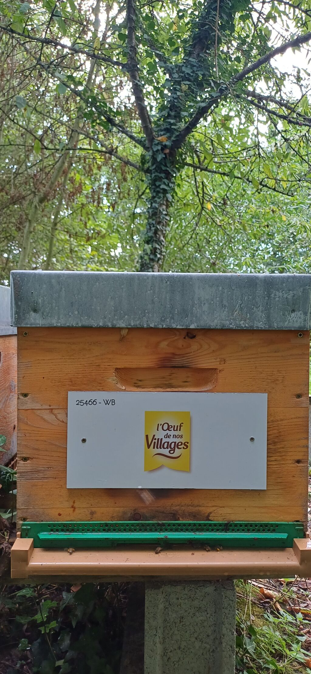 La ruche OEUF DE NOS VILLAGES
