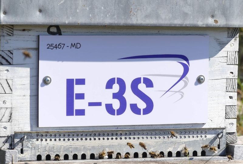 La ruche SAS E-3S
