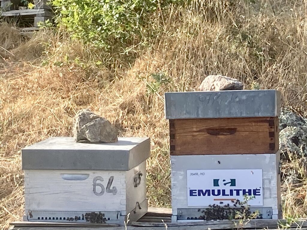 La ruche EMULITHE