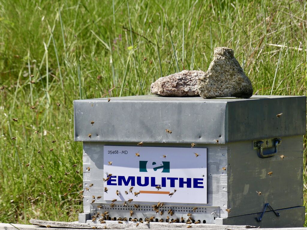 La ruche EMULITHE