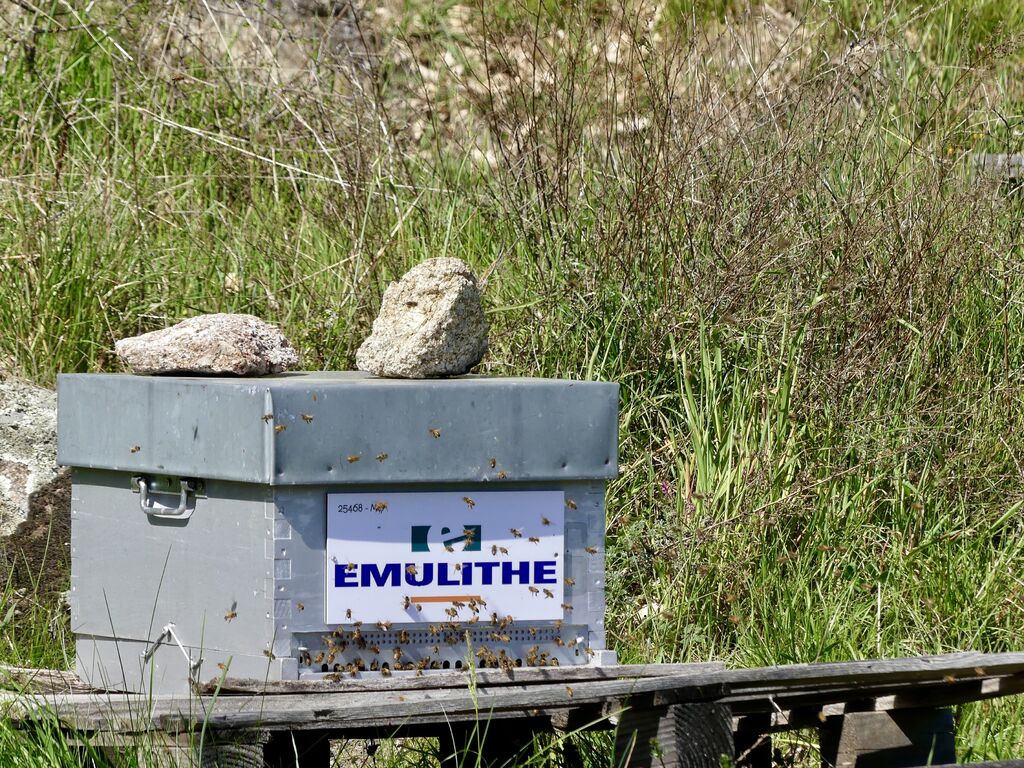 La ruche EMULITHE