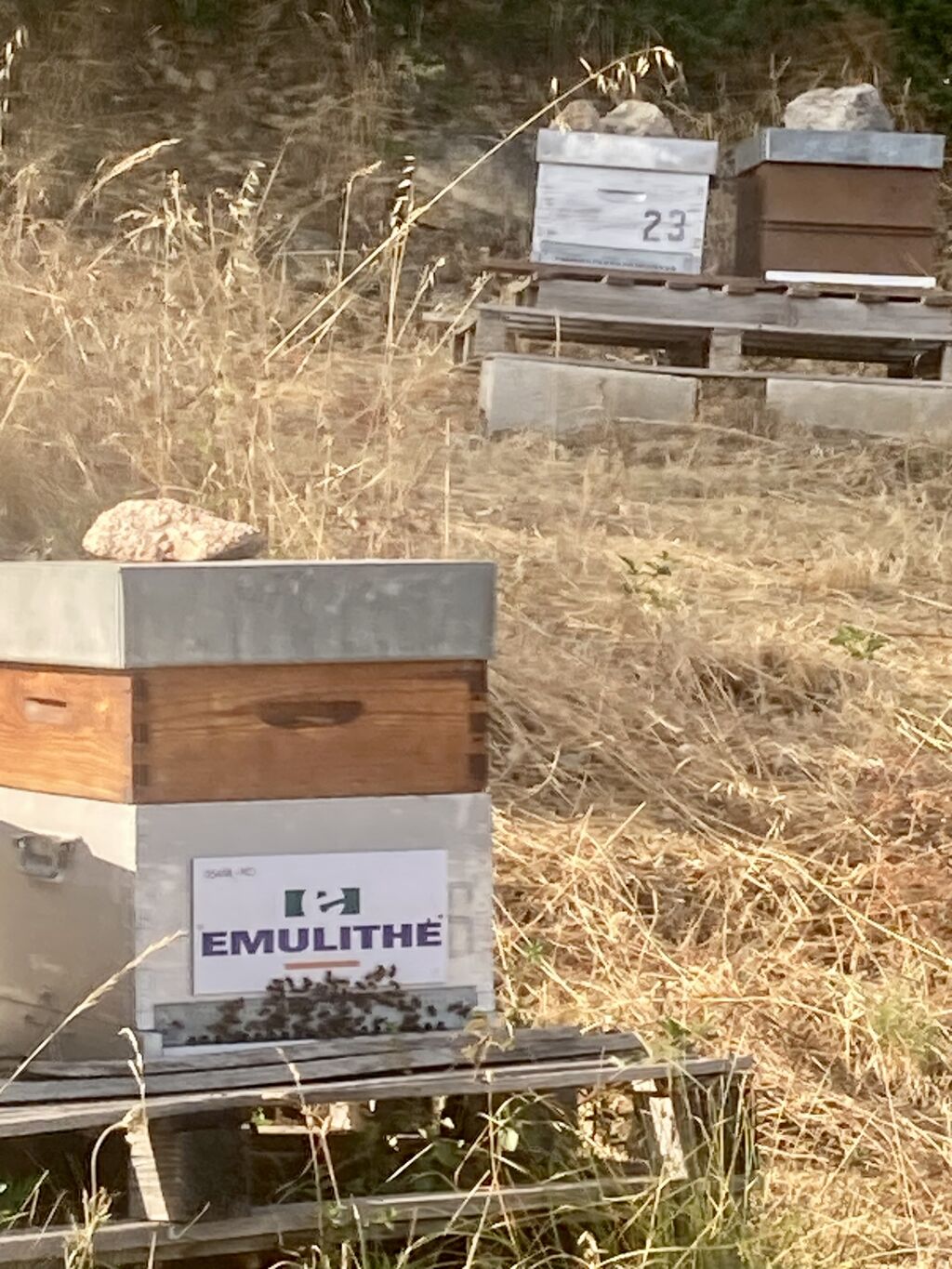 La ruche EMULITHE