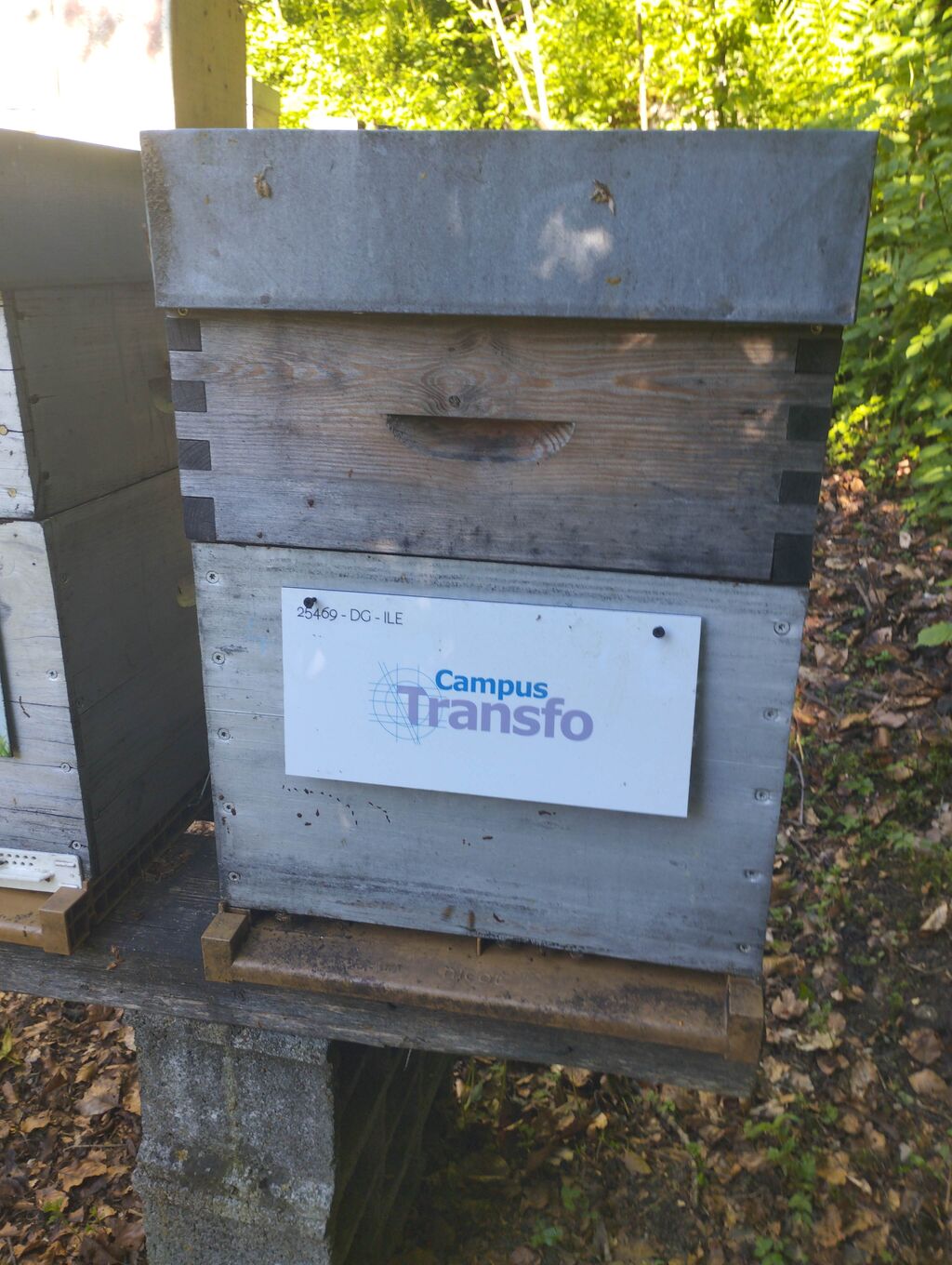 La ruche RTE CAMPUS TRANSFO