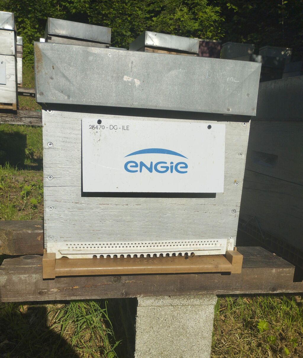 La ruche ENGIE - MPPA