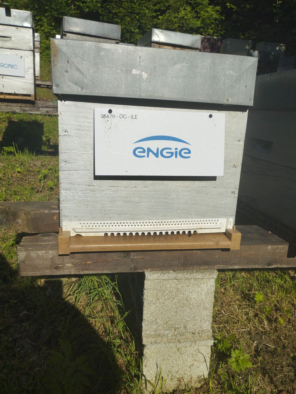 La ruche ENGIE - MPPA