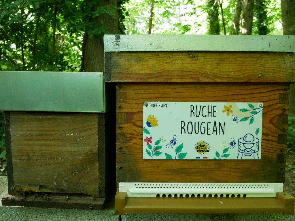 La ruche Rougean