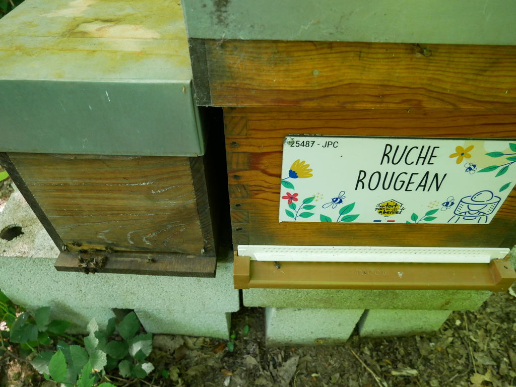 La ruche Rougean