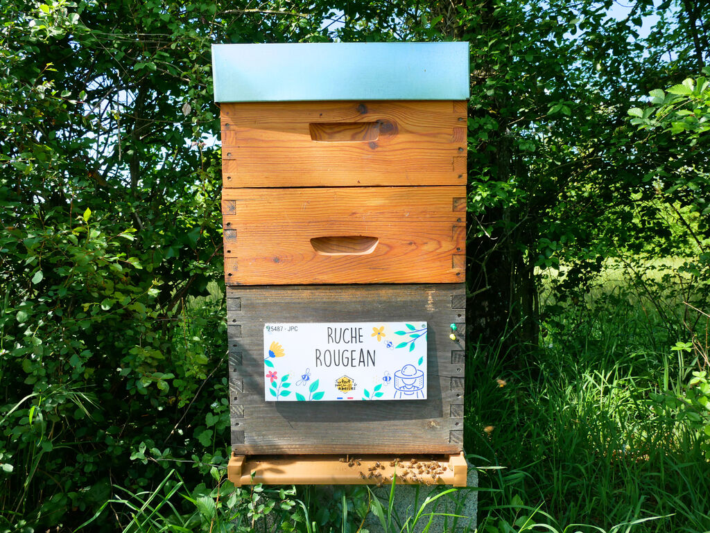 La ruche Rougean