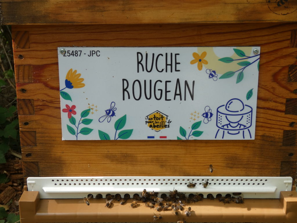 La ruche