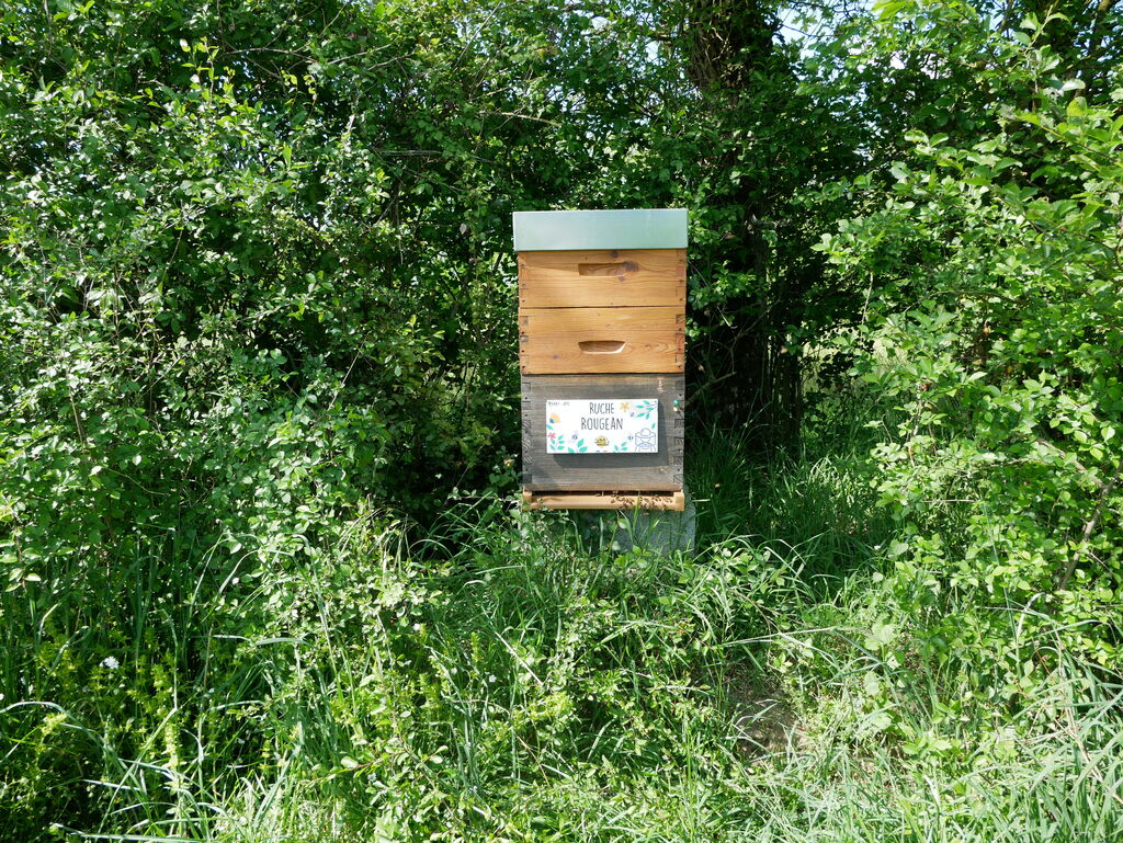La ruche Rougean