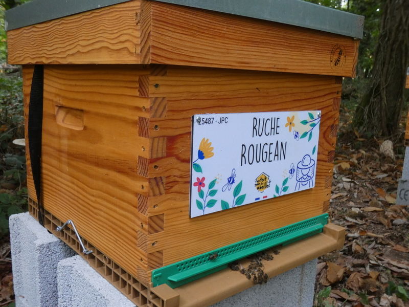 La ruche Rougean