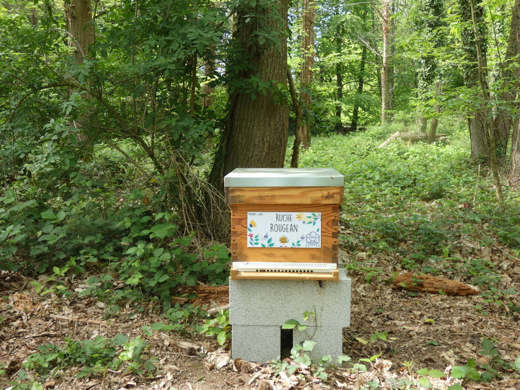 La ruche Rougean