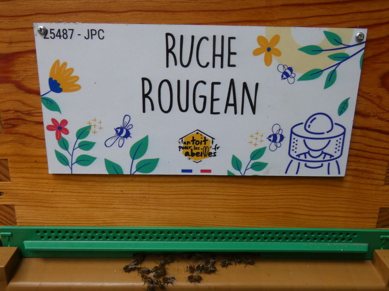 La ruche Rougean