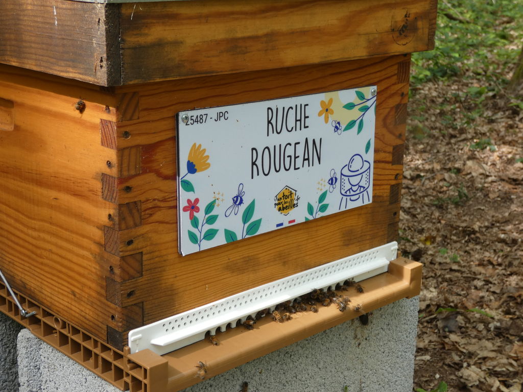 La ruche Rougean