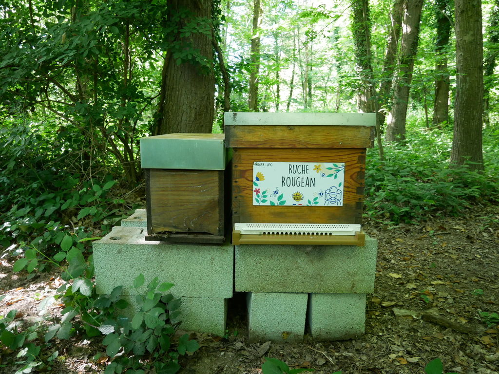 La ruche Rougean
