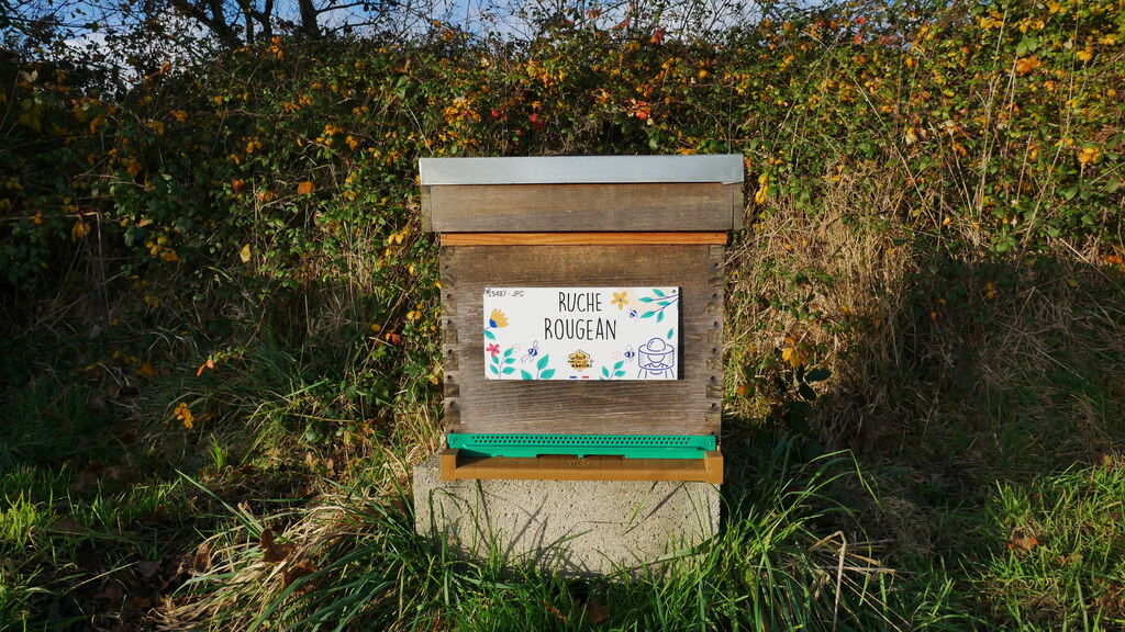 La ruche Rougean