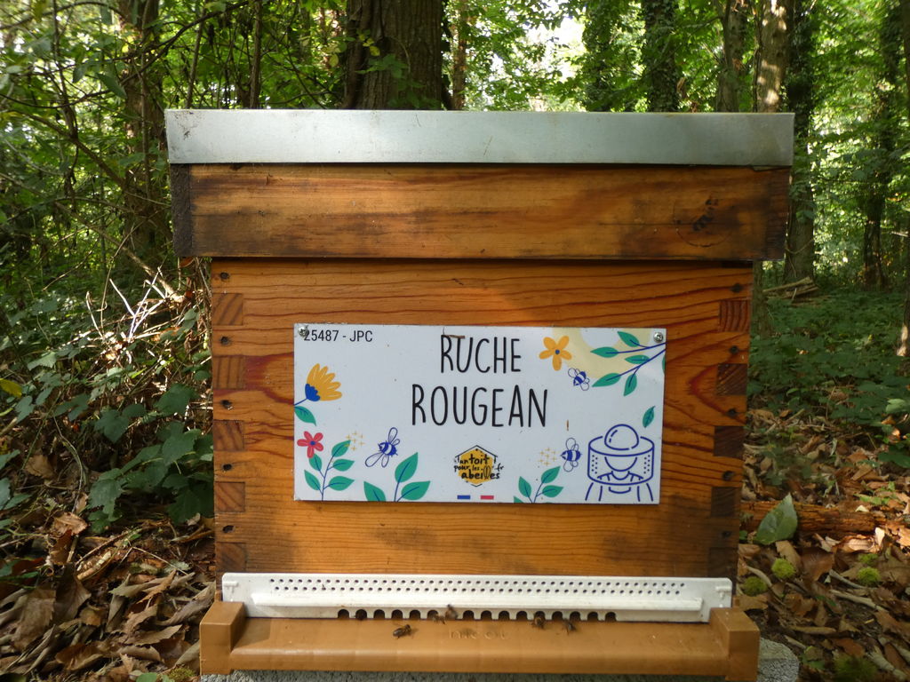 La ruche Rougean