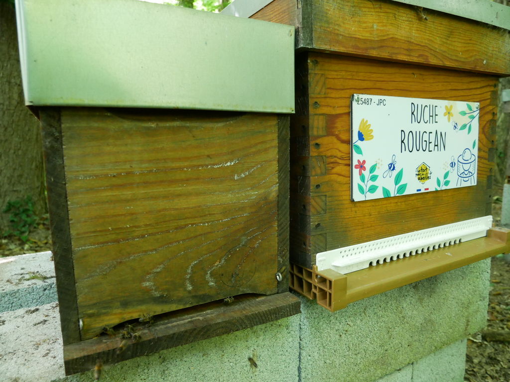 La ruche Rougean
