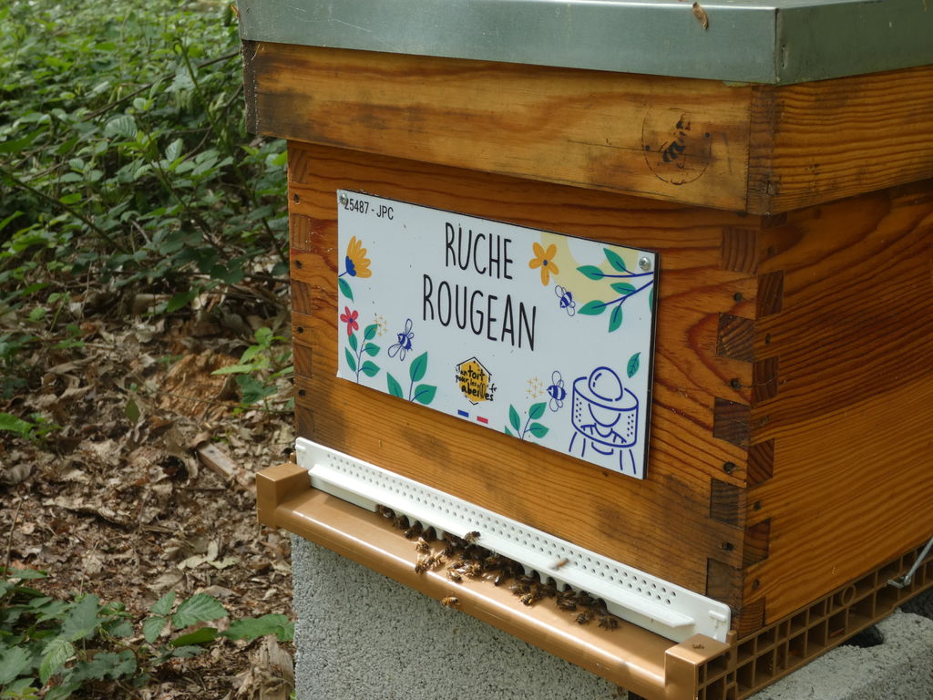 La ruche Rougean