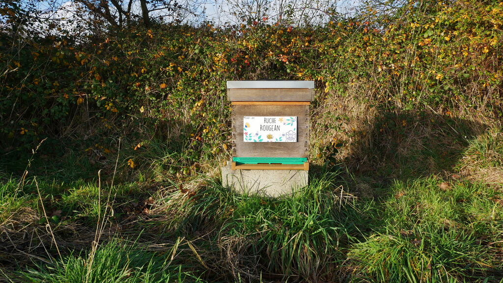 La ruche Rougean