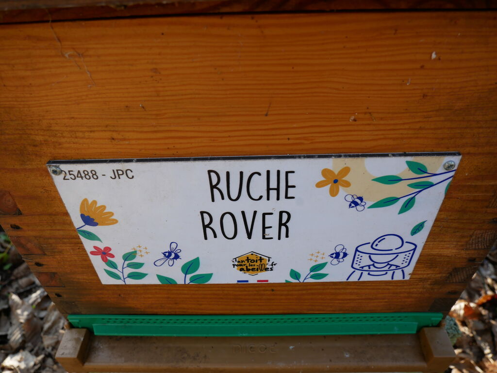 La ruche Rover 