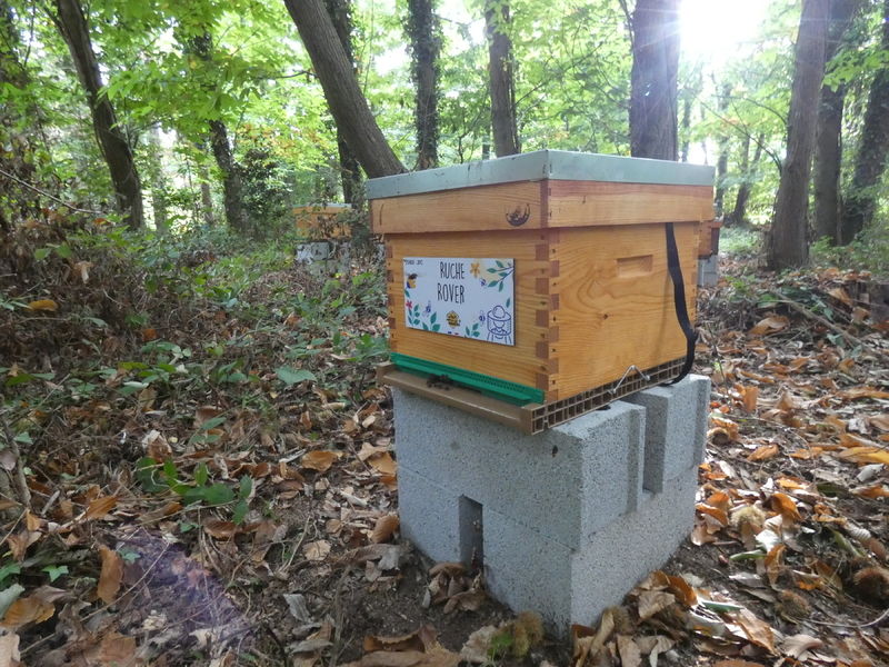 La ruche Rover 