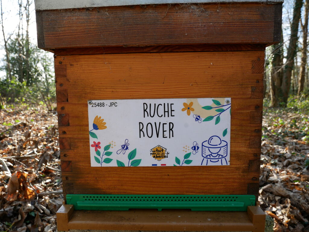La ruche Rover 