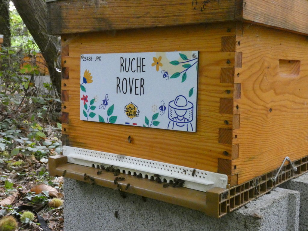 La ruche Rover 