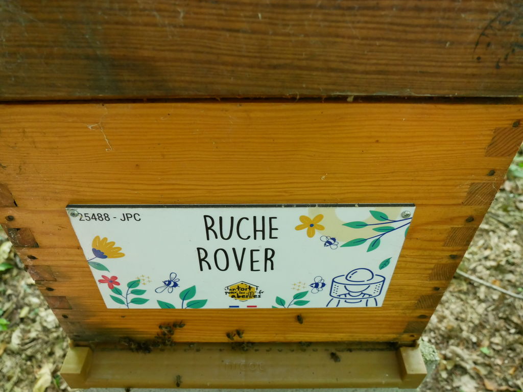 La ruche Rover 