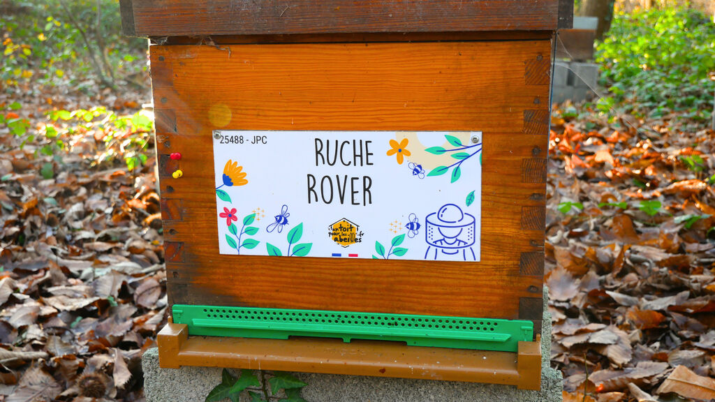 La ruche Rover 