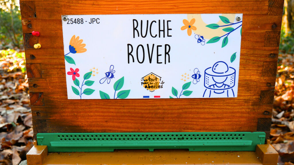 La ruche Rover 