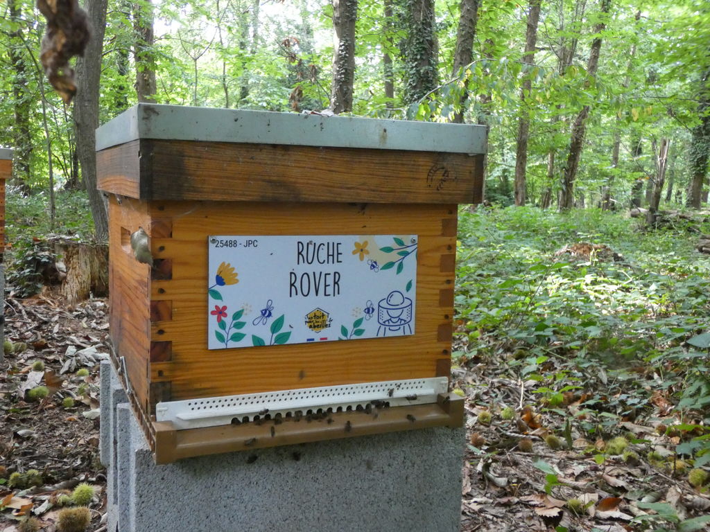 La ruche Rover 