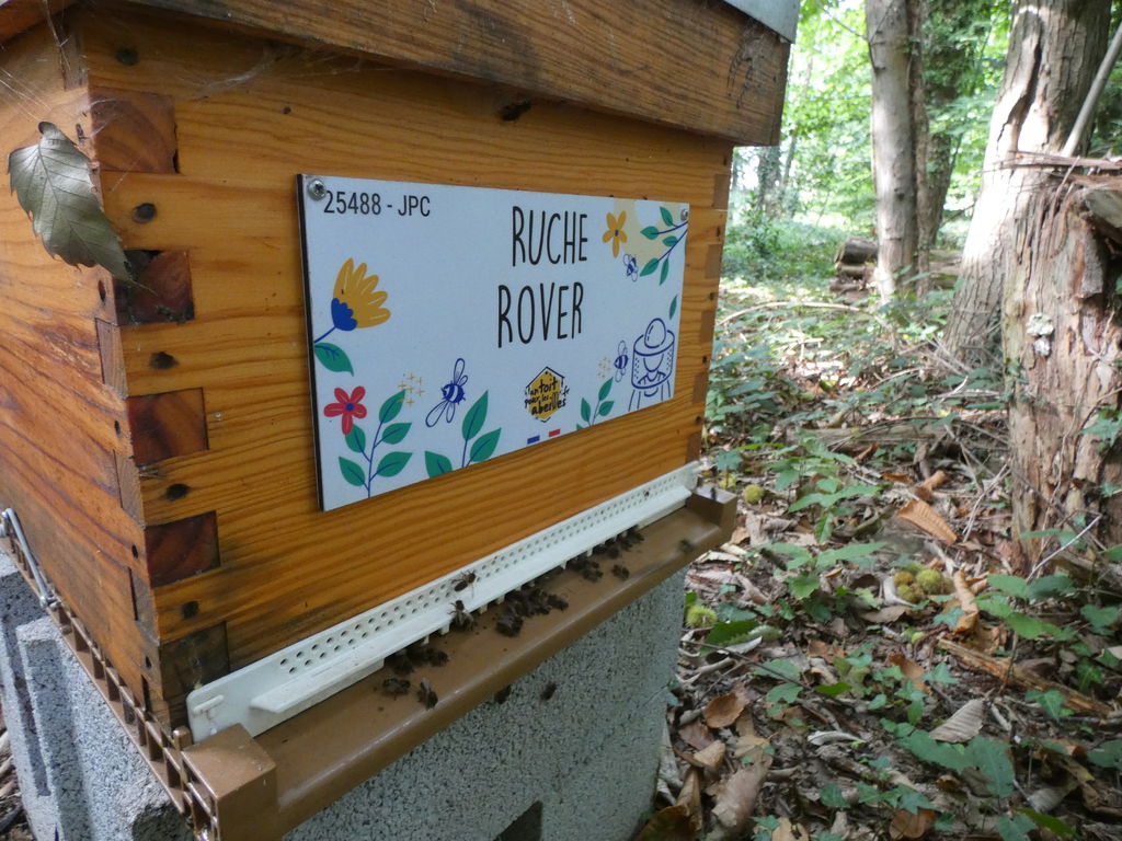 La ruche Rover 