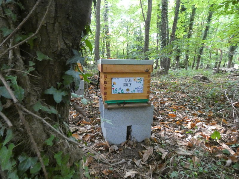 La ruche Rover 