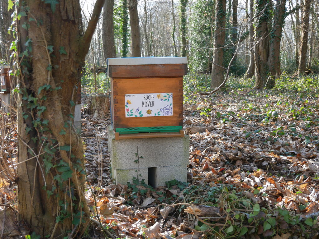 La ruche Rover 