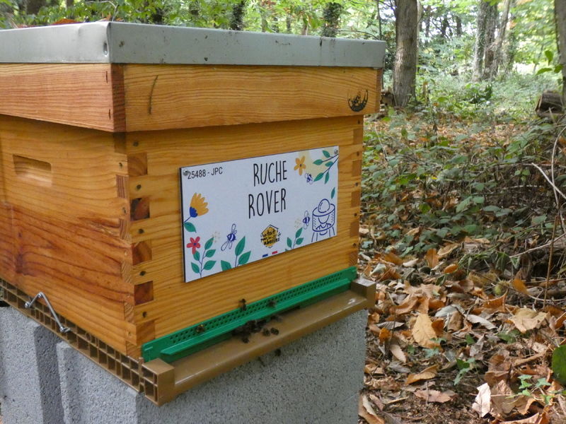 La ruche Rover 