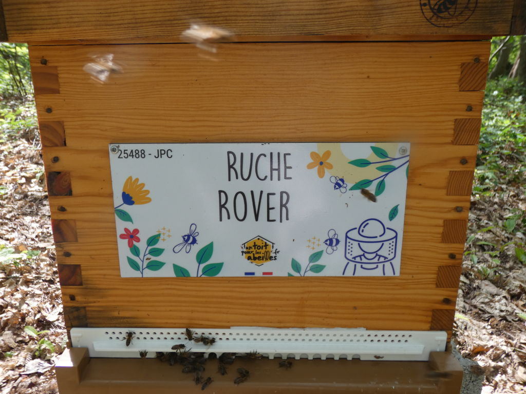 La ruche Rover 